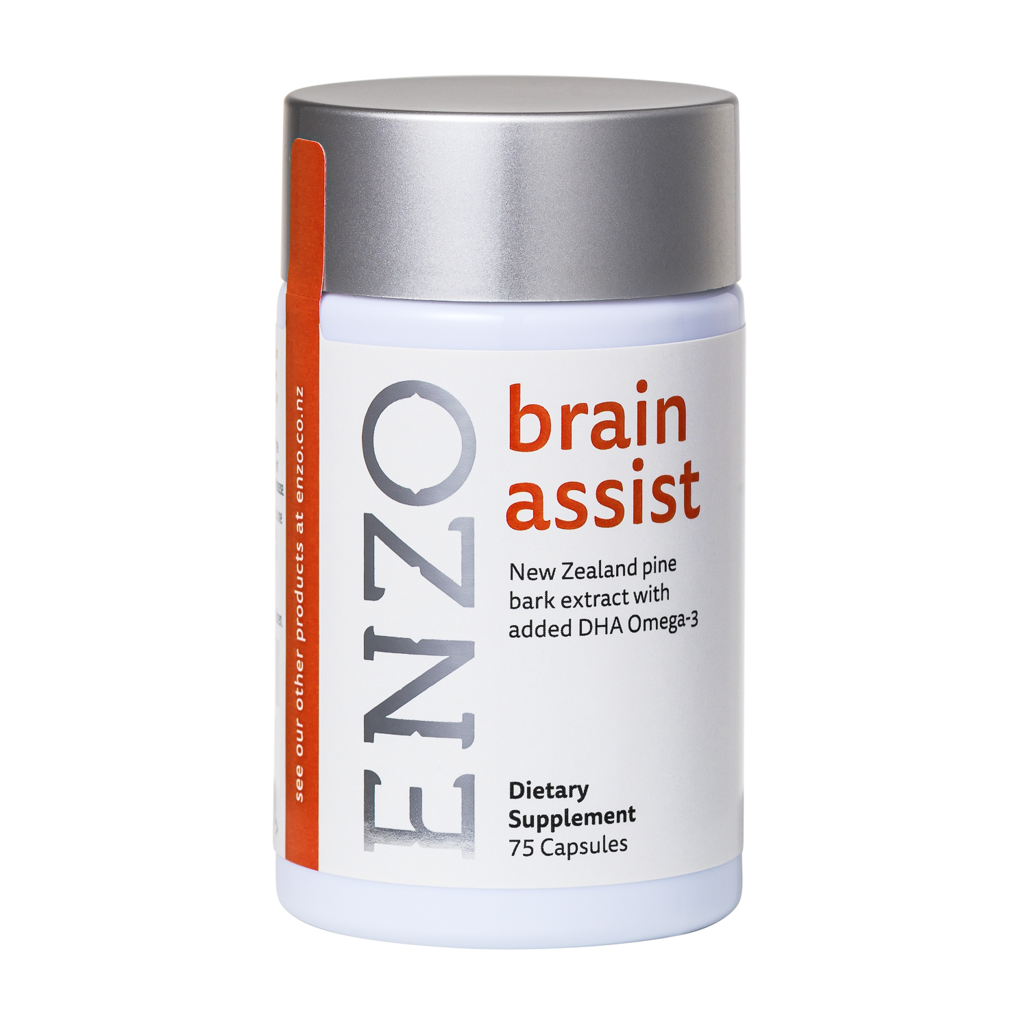 Nootropic Pine Bark Extract – High Quality – ENZO Brain Assist